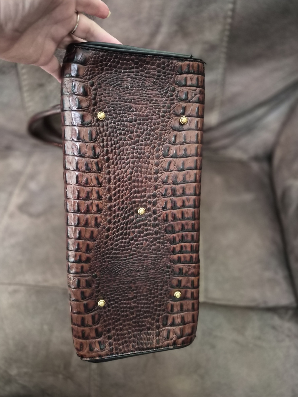 Brahmin Bevin - Picture 4 of 5
